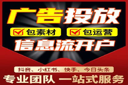 SEM服务公司经典案例集锦